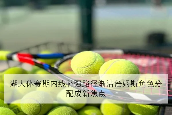 湖人休赛期内线补强路径渐清詹姆斯角色分配成新焦点