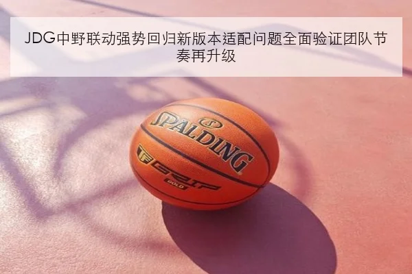 JDG中野联动强势回归新版本适配问题全面验证团队节奏再升级